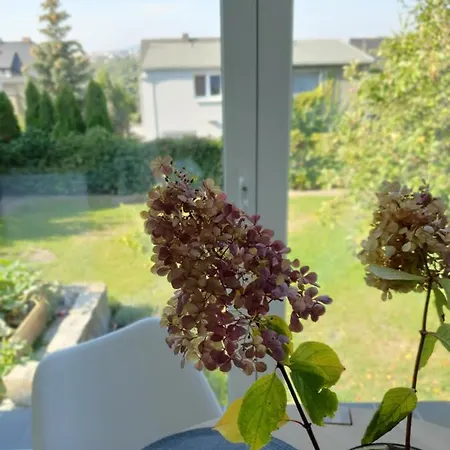 Pod Wieza * Zgorzelec