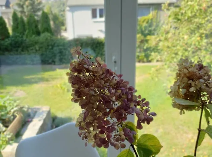 Pod Wieza * Згожелец